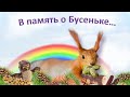 Бусенька и одна из его любимых игрушек... (В память о Бусеньке... 🙏🐿️🌈)A squirrel and a favorite toy