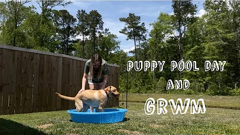 puppy pool day and GRWM