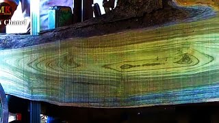 Kayıp Kapısına Üren Güzel Tik Ağacını Kesmek