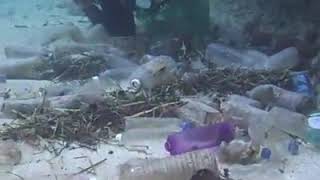 Please Stop throwing plastic bottles in water body.