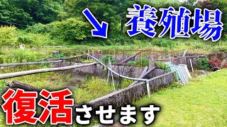 【山復興】土砂と草に覆われたヤマメの養殖場を復活させる！