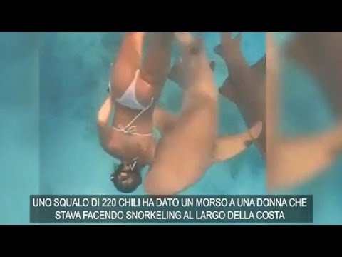 Video: Il morso di squalo funziona sul polibutilene?