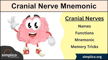Cranial Nerves MADE EASY: Mnemonic & Tricks for their Names & Function