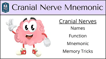 Cranial Nerves MADE EASY: Mnemonic & Tricks for their Names & Function