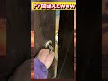 ドア間違えたら絶体絶命の危機に直面したwwwww#面白い #おもしろ #tiktok #twitter #2ch #5ch