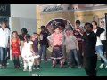 Paru dances  lulu  dibba