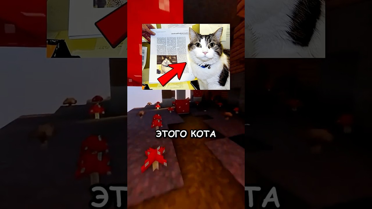 Latest Title & Thumbnail