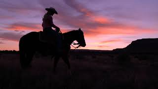 Discover Zion Mountain Ranch