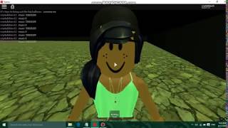 Katy Perry-Birthday [Cash Cash Remix]-{Roblox Lyric Video}