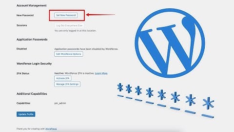 How to Change Your WordPress Website Login Password