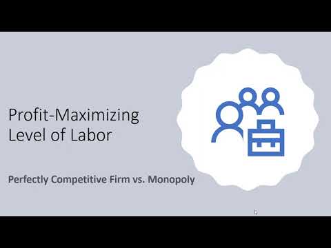 Profit Maximizing Level