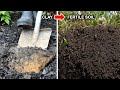 How To Improve Clay Soil | Loosen, Aerate Compacted Soil