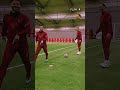 Vandijk thefocus