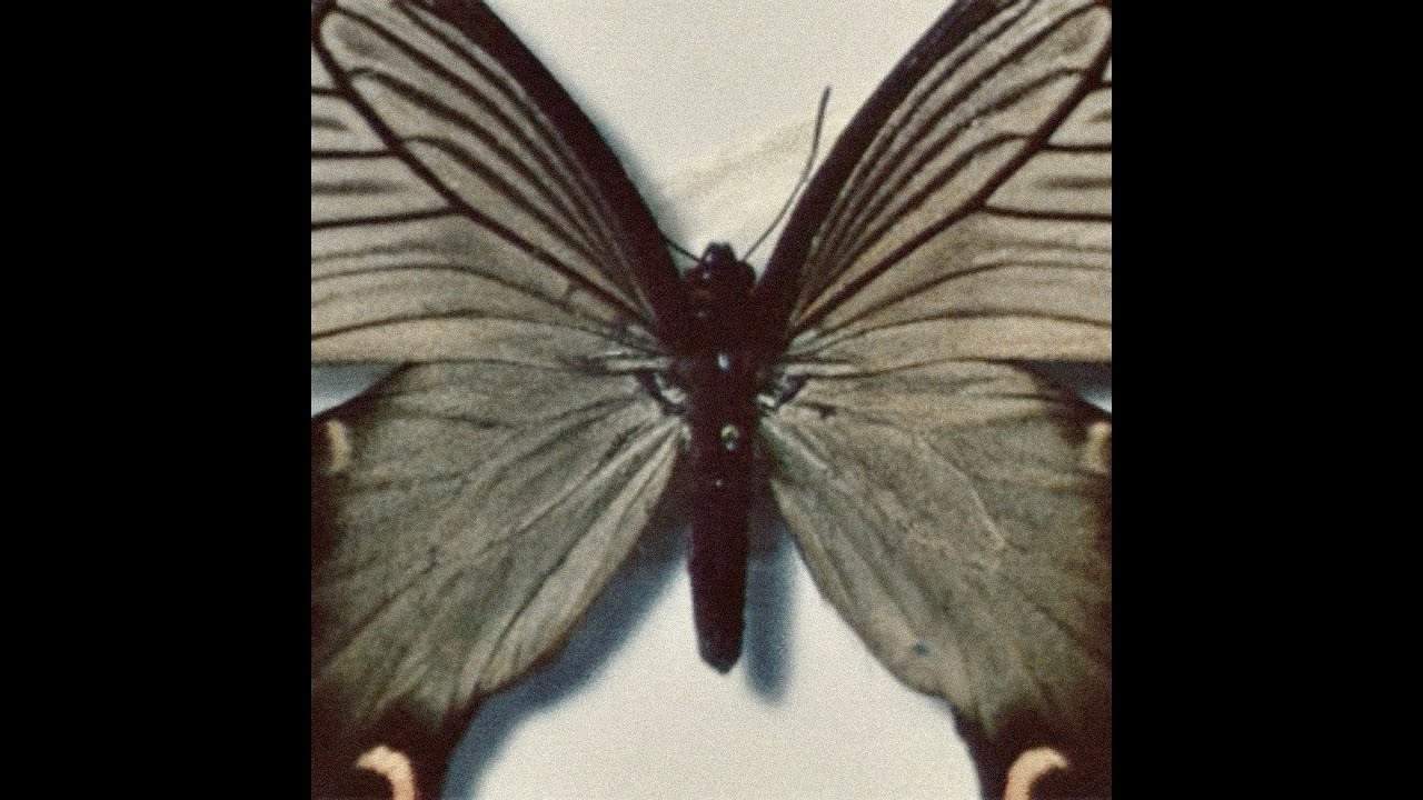 "god's science" armand hammer x alchemist x roc marciano type beat [free]