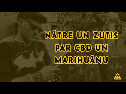 Video: Jūsu Ceļvedis CBD