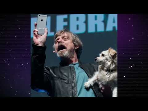 Freddy Krueger helped Mark Hamill become Luke Skywalker
