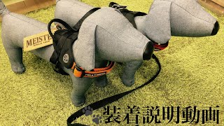 イヌ トリミング用品 フィールドマスター ハーネス 犬用首輪 リード