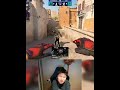 Danking看PV2:1Aurora：Zweih又进去害人了#Danking #cs2 #Aurora #PV #zweih