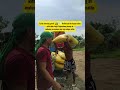 Teamwork makes the dream work!