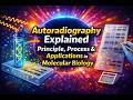 Autoradiography Explained | Principle, Process & Applications in Molecular Biology