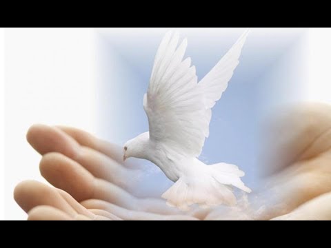 Wonderous Stories - Yes (LoveLeigh Productions ♥)