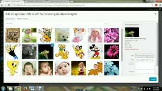 Unite Gallery Plugin