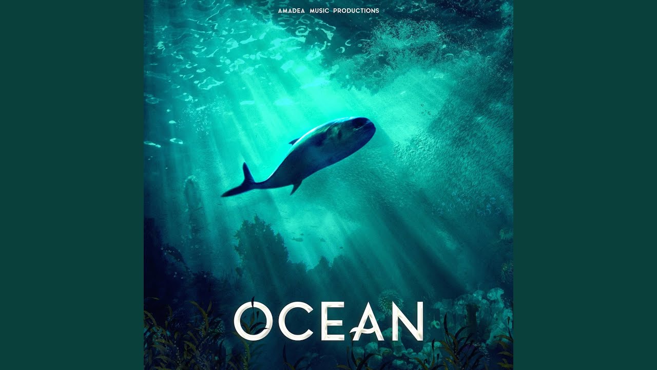 Mira Our Ocean Is Dying en YouTube Mira Our Ocean Is Dying en YouTube