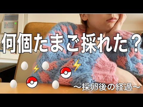 卵いくつゲットできた🤭🥚？？採卵後の経過について🌾【不妊治療】【体外受精】【妊活】