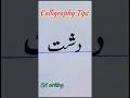 "دشت" کی خوبصورت خطاطی ✨ |    #calligraphy #handwriting #shorts #viral Arabic Calligraphy Shorts