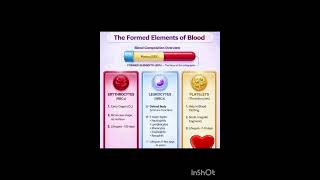 Types of RNA and their functions , blood composition overview.