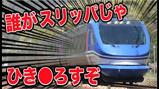 やば！スリッパみたいなやつが爆速で駆け抜けてました！！ｗｗｗｗｗｗ
