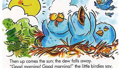 Birdies