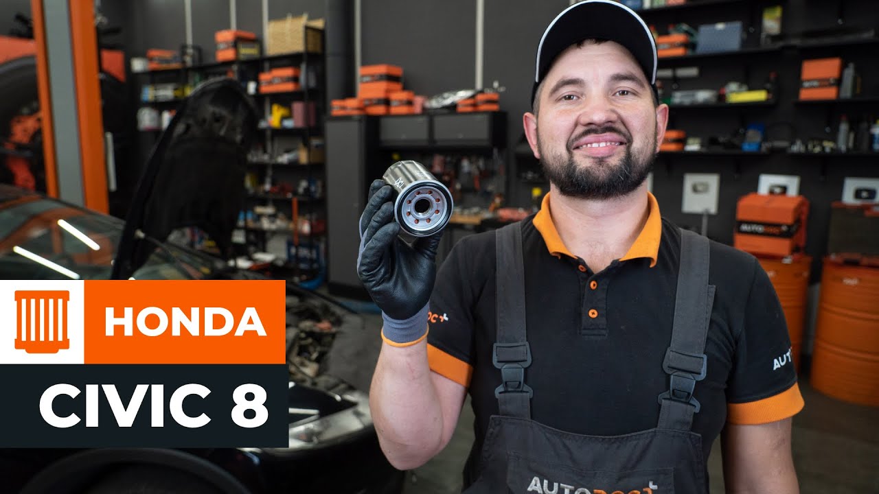 Honda SH/300 Wartungsheft Öl Motul 10W40 Ölfilter Hiflo