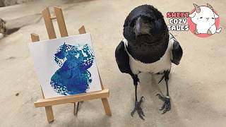 He Thinks He’s Human… But This 17 Year Old Crow’s Story Will Break You