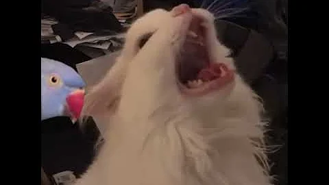 Thurston gets scared