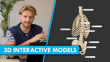 Interactive 3D Models