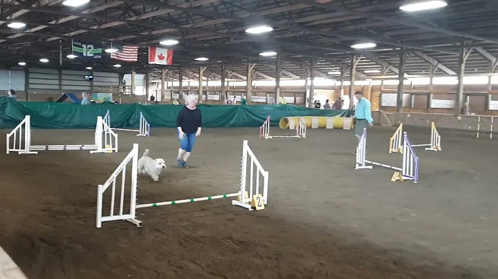 Eili agility