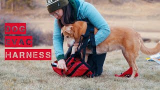 Dog Evacuation Harness Review: Fido Pro vs Ruffwear