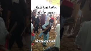 pakistanboltahai dalikallarsayedanmela