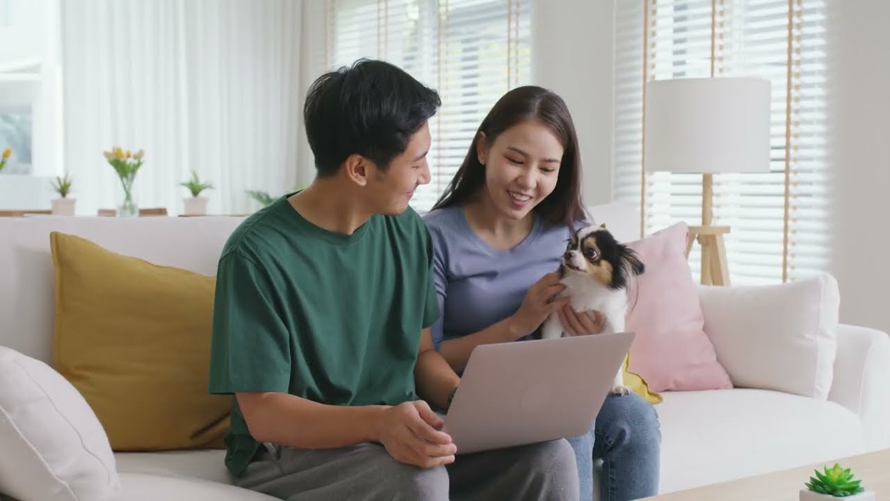 Which Dog Breed Group is Right For You?