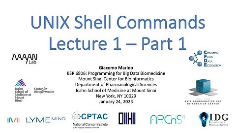 BSR 6806: Lecture1 - Part1 - UNIX Commands - Giacomo Marino - ISMMS - Spring 2023