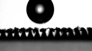 Rolling on Superhydrophobic Surface
