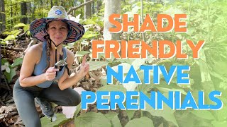Shady Oasis: 5 Native Shade Plants & Eco-Friendly Options 🌿🌸 | Gardening Tips