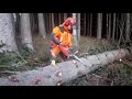 Husqvarna 560XP!!!Complete felling of a 130-year-old tree!!!