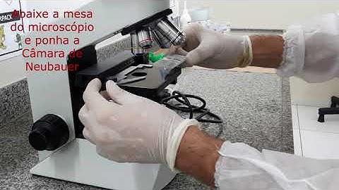 Espermograma (Aula prática)