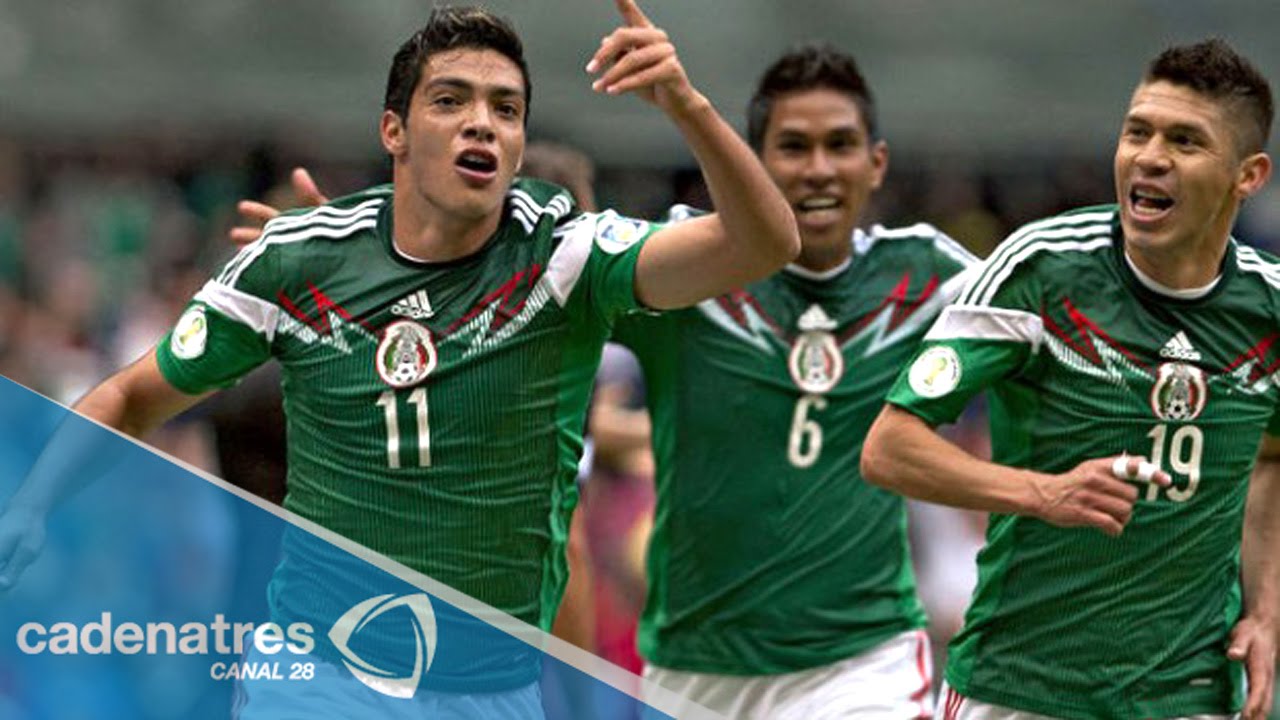 Tricolor: poca contundencia en los delanteros que irán a la Copa América 2015 tricolored heron