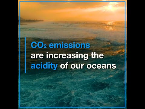 The Ocean Acidification Day of Action 2021