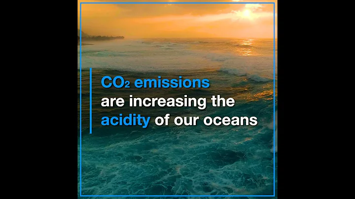 The Ocean Acidification Day of Action 2021