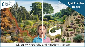Class 9 | Diversity Hierarchy And Kingdom Plantae | Science Olympiad | CREST Olympiads