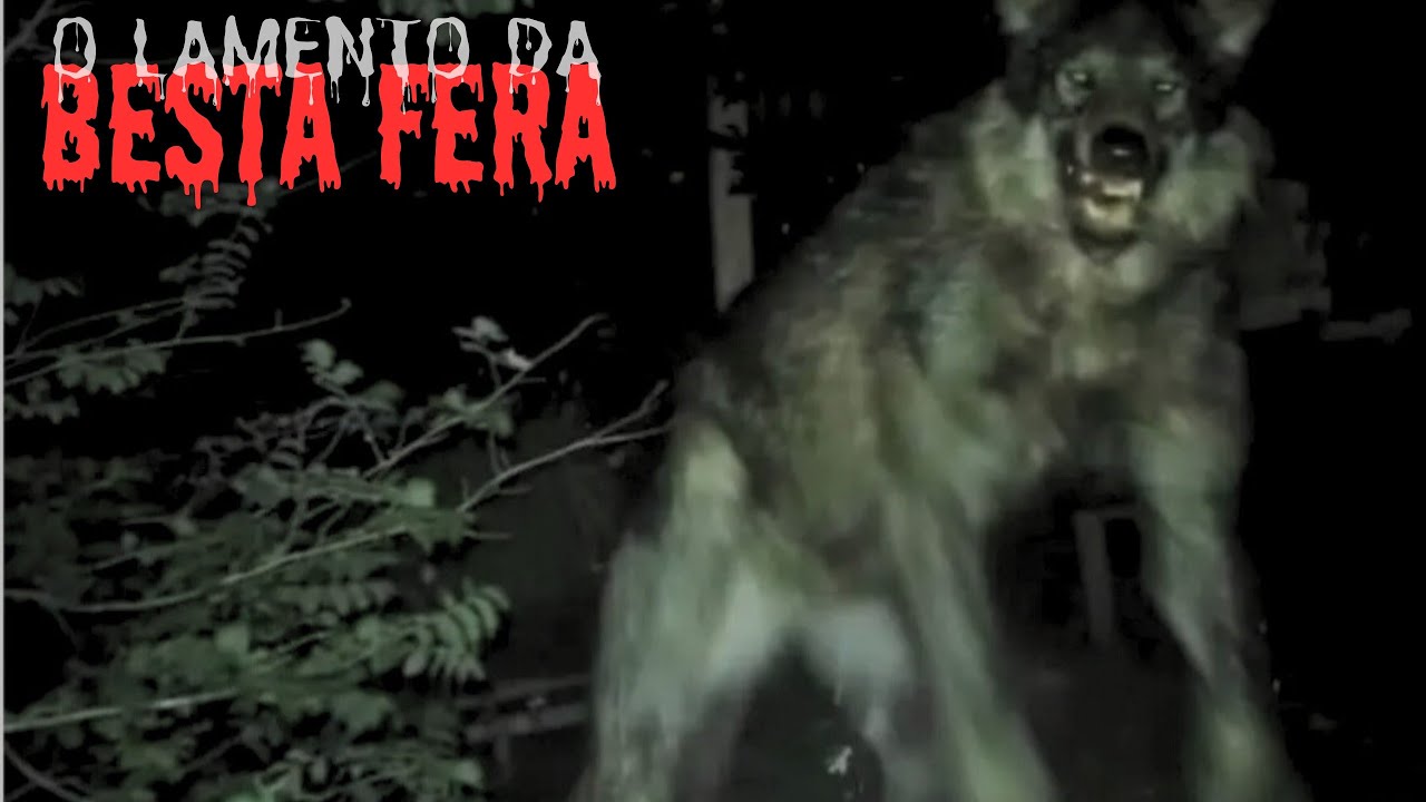 O LAMENTO DA BESTA FERA.